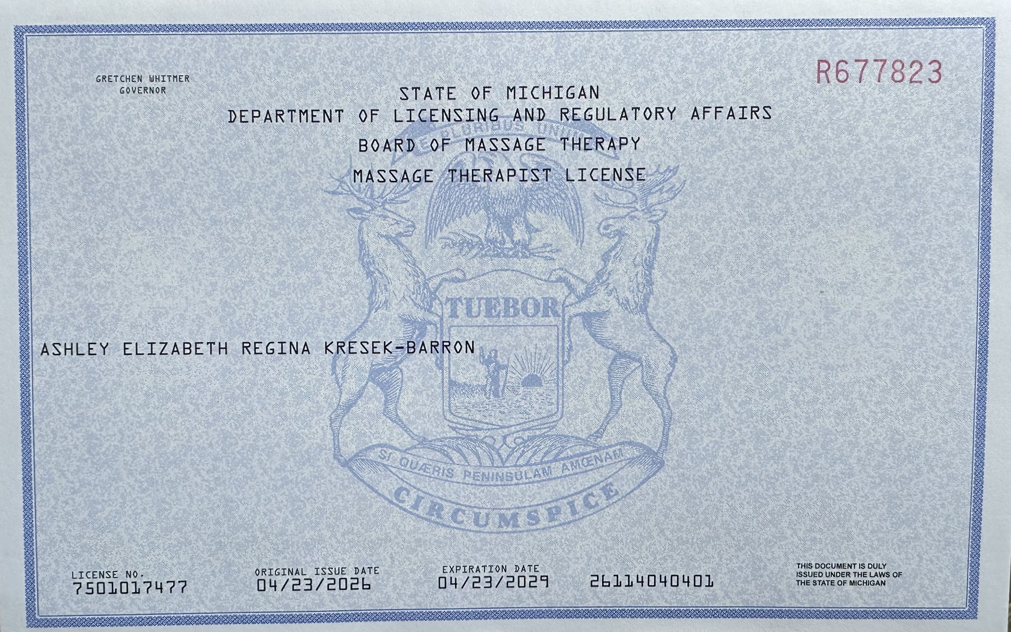 State of Michigan Massage Therapist License — Ashley Kresek